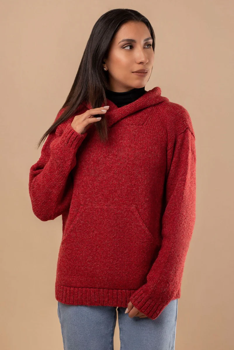 Briana Alpaca Hoodie Pullover - Image 30