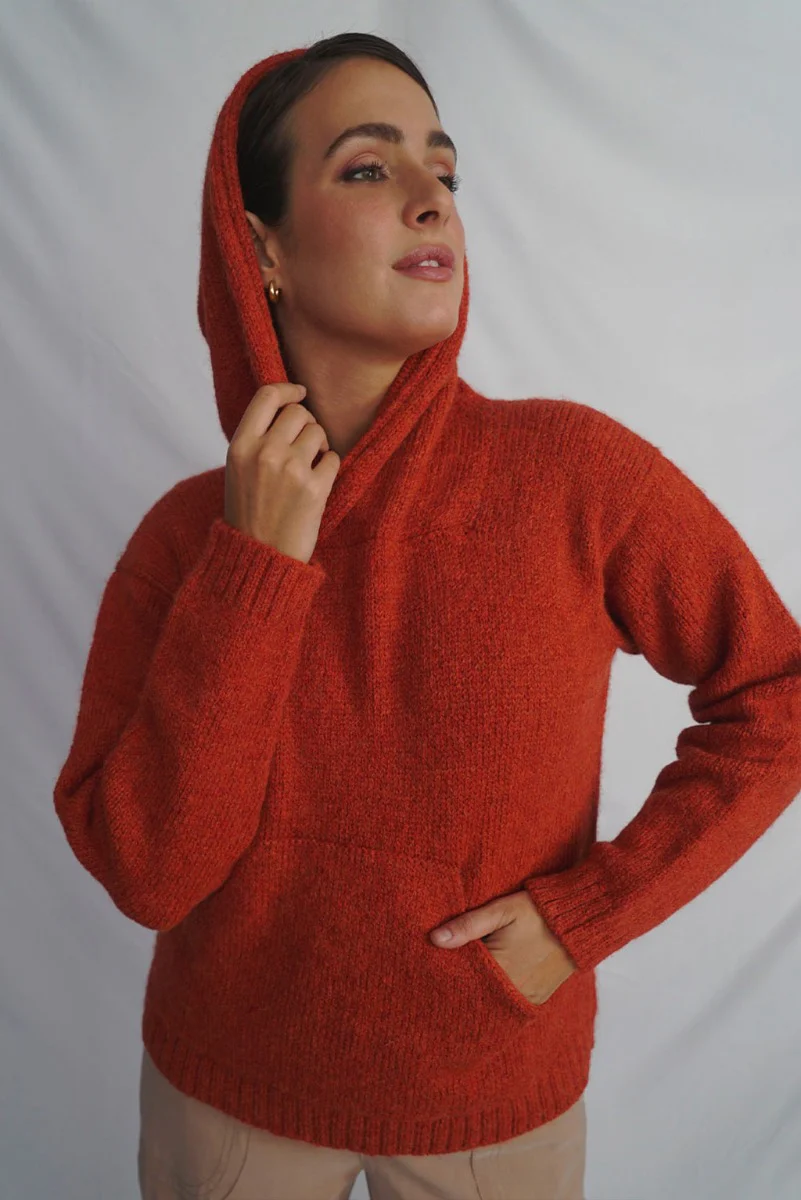 Briana Alpaca Hoodie Pullover - Image 5