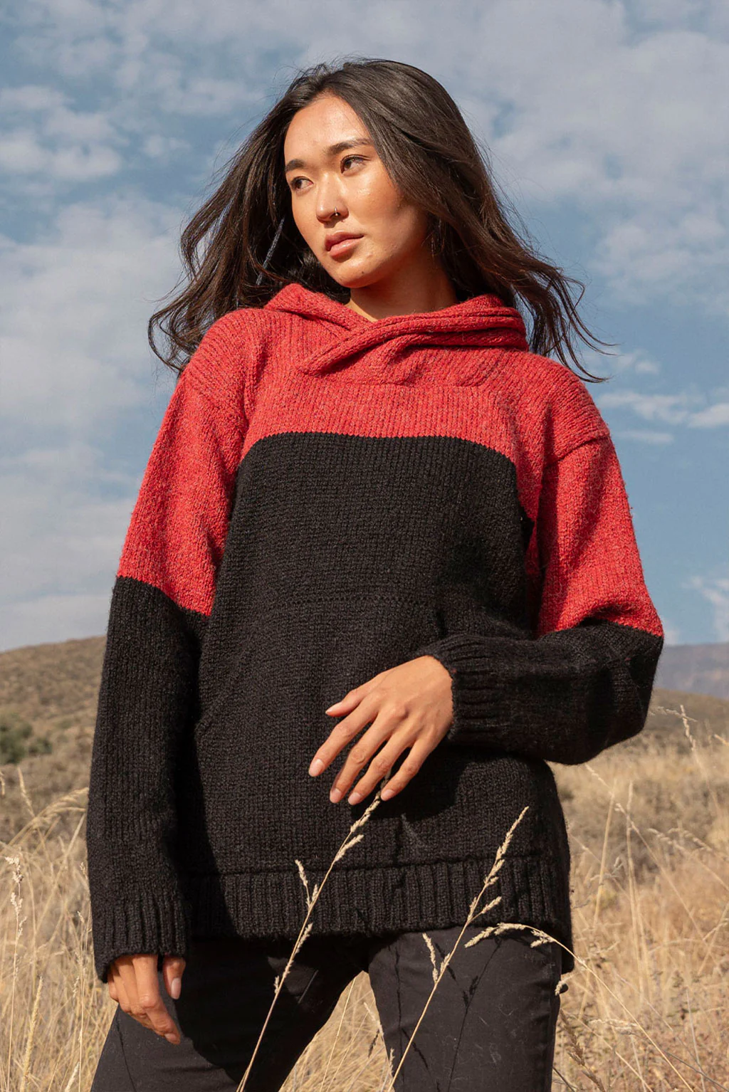 Coraline Alpaca Hoodie Pullover - Image 3